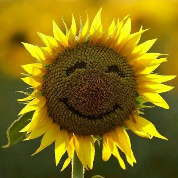 Meet your Posher, Jackie - Picture 1 of 1